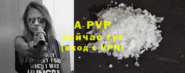 спайс Вяземский
