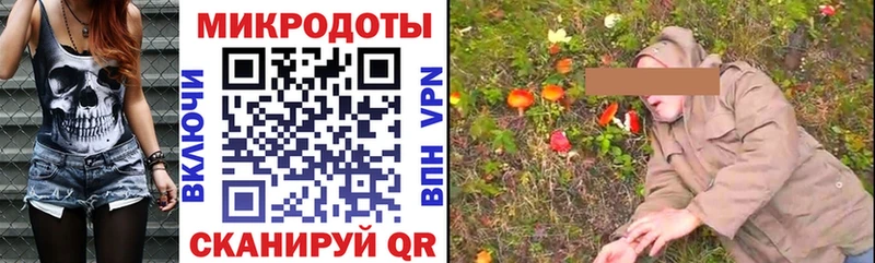 Псилоцибиновые грибы Psilocybine cubensis  Новый Оскол 